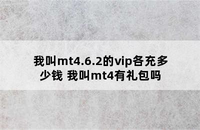 我叫mt4.6.2的vip各充多少钱 我叫mt4有礼包吗